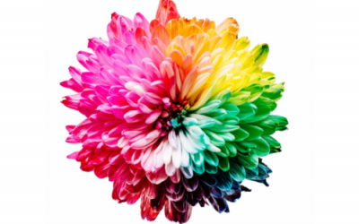 Colour